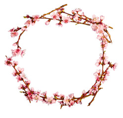 Pink spring flowers branches  frame