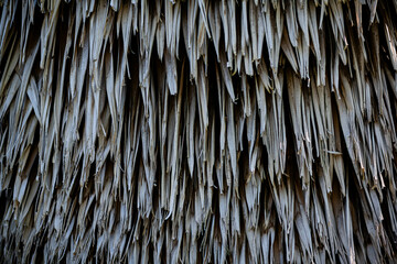 Long dry thin grass agriculture harvest pile of hay straw texture