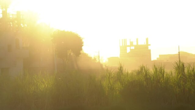 Sunset shot of Village Nile River in Egypt