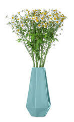 Turquoise vase with beautiful chamomile flowers isolated on white