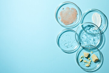 Many petri dishes with samples on light blue background, flat lay. Space for text