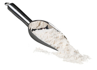 White wheat flour in metal scoop