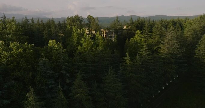 Coniferous Forest Towards The Crumbling Remains Of Soviet Sanatoriums In Tskaltubo, Georgia. Aerial Drone Shot