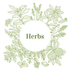 Round Template with Herbs in Hand-Drawn Style