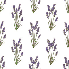 Color Lavender Pattern in Hand-Drawn Style