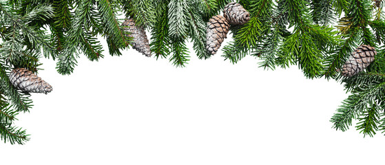 Christmas decoration with snow fir tree