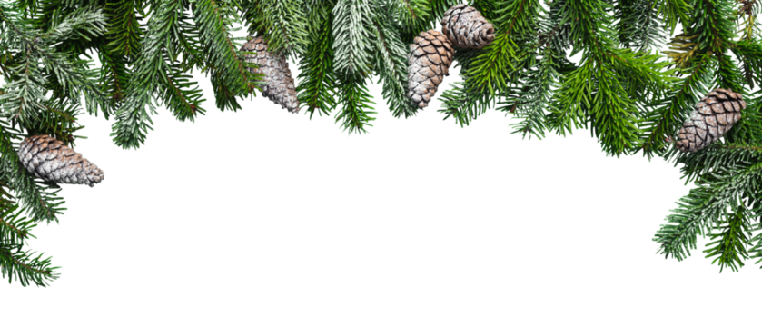 Christmas decoration with snow fir tree