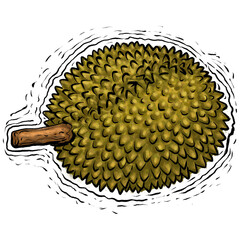 Durian fruit drawing illustration