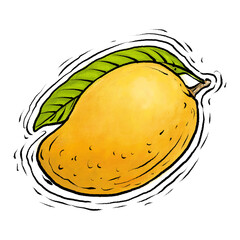 Mango fruit drawing illustration