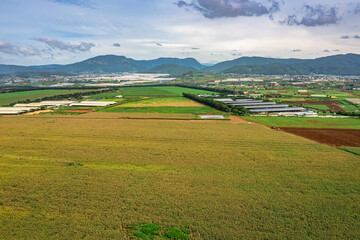 Fototapeta na wymiar Rural landscape with grass and corn fields as raw materials for dairy cows to eat, at Don Duong, Lam Dong, Vietnam. Near Dalat city