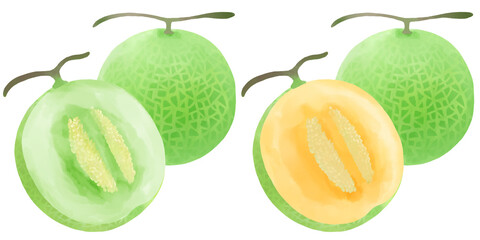 美味しそうなカットされたメロンのイラスト／Illustration of a cut melon that looks delicious