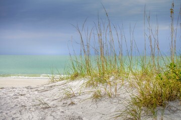 Pure white sand dunes and tall reeds on the beach with blue and turquoise waters in the background at Anna Maria Island, Florida