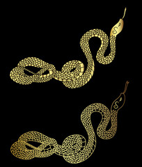 Hand drawn snake vector Illustration isolate on white background.Milk snake vector.Red snake vector.Lampropeltis triangulum vector.Sticker and hand drawn snake for tattoo.