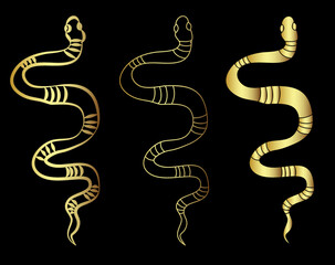 Fototapeta premium Hand drawn snake vector Illustration isolate on white background.Milk snake vector.Red snake vector.Lampropeltis triangulum vector.Sticker and hand drawn snake for tattoo.
