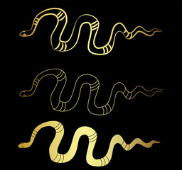 Hand drawn snake vector Illustration isolate on white background.Milk snake vector.Red snake vector.Lampropeltis triangulum vector.Sticker and hand drawn snake for tattoo.