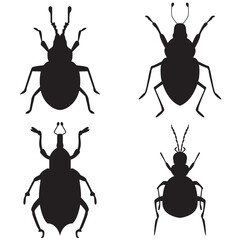 silhouette of a cockroach