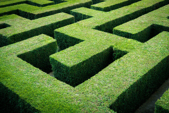Green Maze or Giant labyrinth park from grass cut 