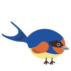 Swallow bird vector illustration in flat color design