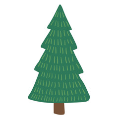 Pine tree vector illustration in flat color design