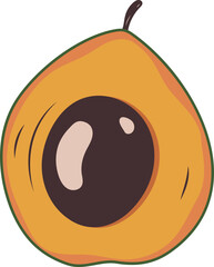 Fototapeta premium Lucuma Exotic Tropical Fruit Illustration Graphic Element Design Art 