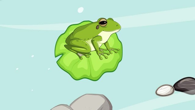 Life cycle of a typical frog animation