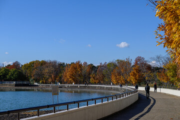 昆陽池公園