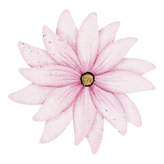 Watercolor flower illustration 