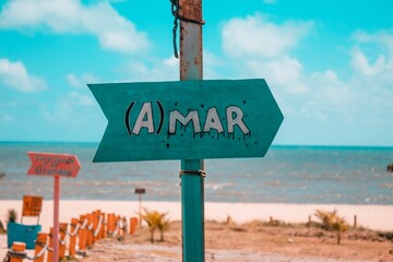 Amar o mar