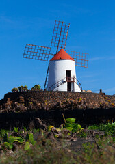 Windmill at Jardin de Cactus, botanical cactus garden in Guatiza, Lanzarote island. Outdoor view of sightseeing with volcanic stones, green wild plants, blue sky and no people. Canary islands, Spain.
