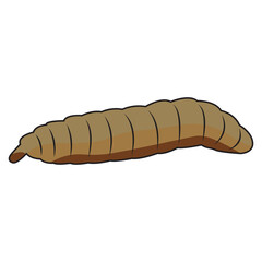 Black Solder Fly larvae asset vector illustration
