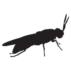 Black Solder Fly larvae asset vector illustration