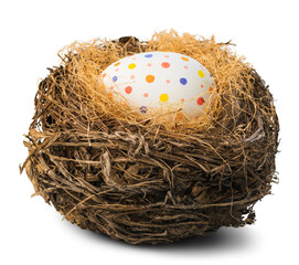 Fototapeta premium Colorfully painted easter egg in the nest