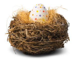 Colorfully painted easter egg in the nest