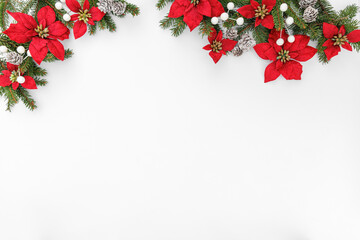 Merry Christmas fir branches and holiday red flowers on white background. Happy New Year and Xmas, top view, wide banner