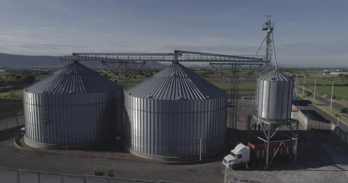 granjas de animales cerdos 