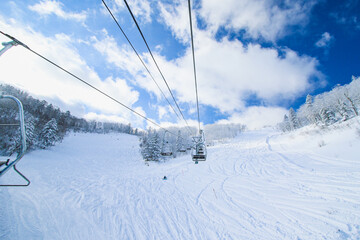 富良野スキー場
