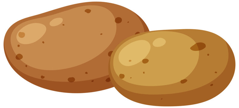 Two potatoes isolated vector