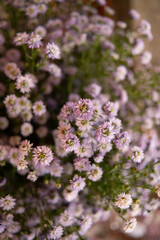 beautiful country wedding decor