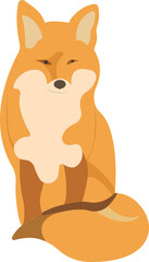 Cunning fox with red fur. Fox is sitting.