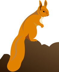 A squirrel with a fluffy tail. Red squirrel.