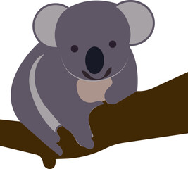 Obraz premium Koala on a tree. Wild animal with gray fur.