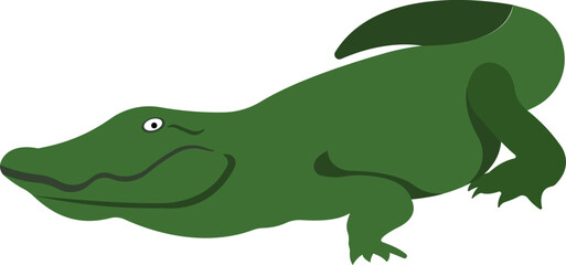 Cartoon crocodile. Green crawling crocodile. Aquatic animal.