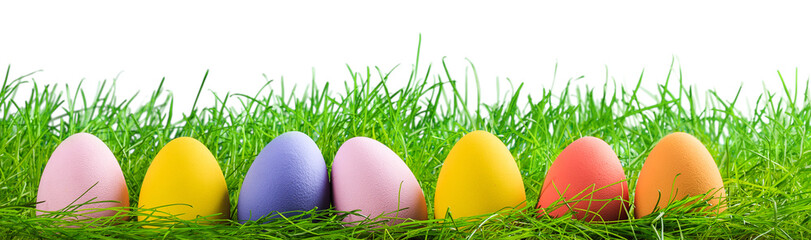 Fototapeta premium Colored Easter eggs with a green grass