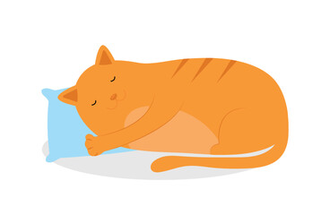Cat sleeping on pillow - illustration, vector