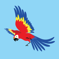Parrot, red macaw - illustration, vector