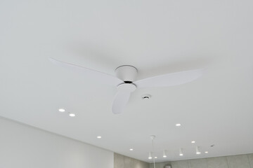 A white ceiling ceiling fan improves air circulation