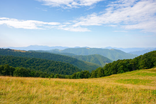 stunning mountain landscape in summer. forested hills and grassy meadows. view in to the distant valley and ridge beneath a bright blue sky with some clouds