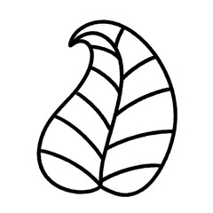 tropical leaf line icon.