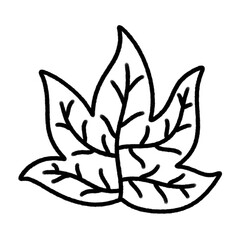 tropical leaf line icon.