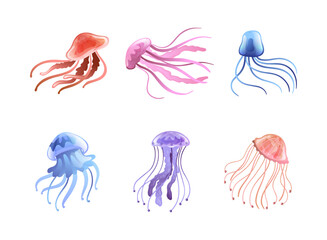 Jellyfish and Sea Jelly as Free-swimming Marine Animal with Umbrella-shaped Bells and Trailing Tentacles Vector Set